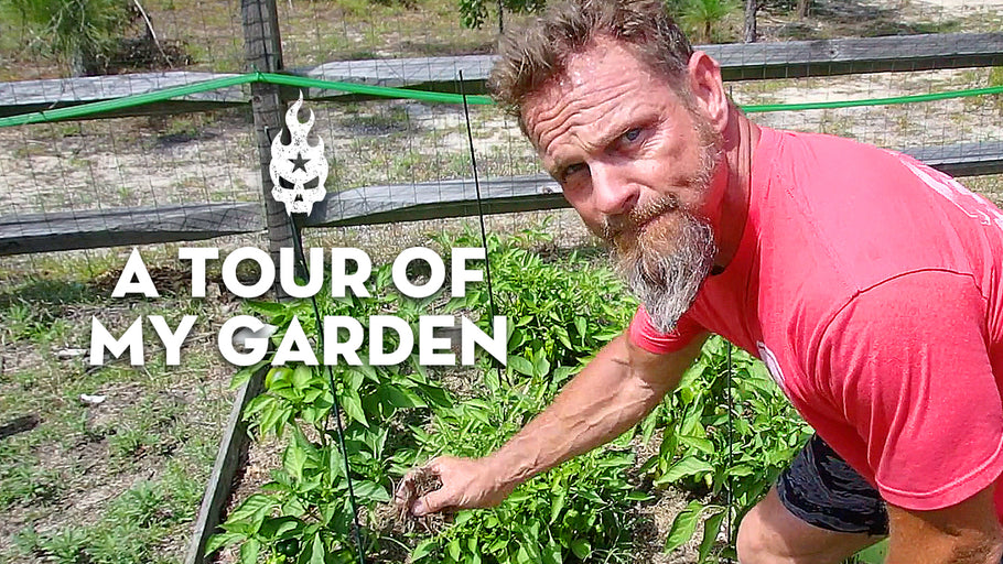 A Tour of My Garden