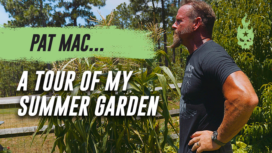 A Tour of My Summer Garden